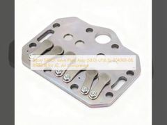 Bitzer S4BCF Vana Plakası Grubu (58.0)-LP(6.5), 304069-08, 818601B, AC Klima Kompresörü için