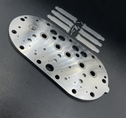 15P Copeland Soğutma Kompresörü Valf Plaka Grubu ve Soğuk Hava Deposu Dondurucusu için Valf Kamışları